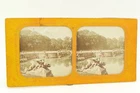 PARC DE VERSAILLES 8.5x17 Panoptic Stereo View
