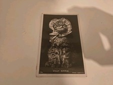 Dolly Dimple Cat Postcard 
