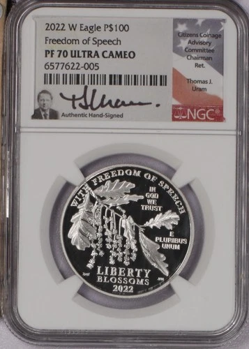 Photo of a 2022-W American Platinum Eagle from an eBay sale