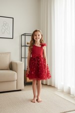 Maroon Tulle Overlay Easter Pagent Church Party Butterfly Dress Size 4T