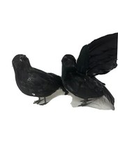1 Halloween Crow Prop Black Realistic Raven Feathered Spooky Party Creepy  