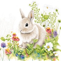 20 Servietten Little Bunny In The Meadow Hase Tiere Blumenfeld Ostern 33X33Cm