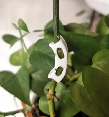 Tomato Stem Support Clips Plant Garden Fixing Clips Anti-Bending Vegetable  | eBay