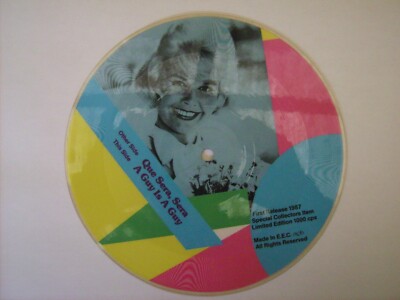 DORIS DAY: Que Sera, Sera / A Guy Is A Guy (Picture Single Maybelline von 1987)