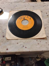 The Punk Polka The Other Half 45