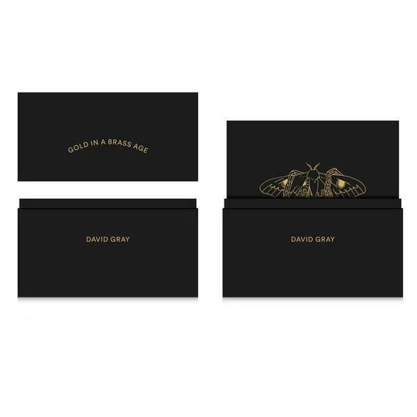 David Gray - Gold In A Brass Age Deluxe Box Set * 7 x 7" Vinyl Singles ULTRA RAR - Bild 4 von 4