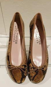 paul mayer attitudes flats