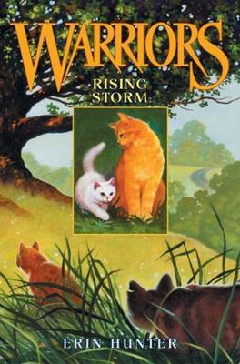 Rising Storm [Warriors, Book 4]