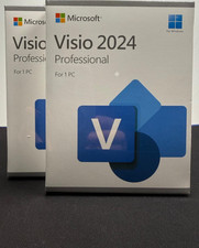 Microsoft Visio 2024 Professional for Windows Only