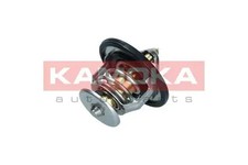 Thermostat Kia PREGIO