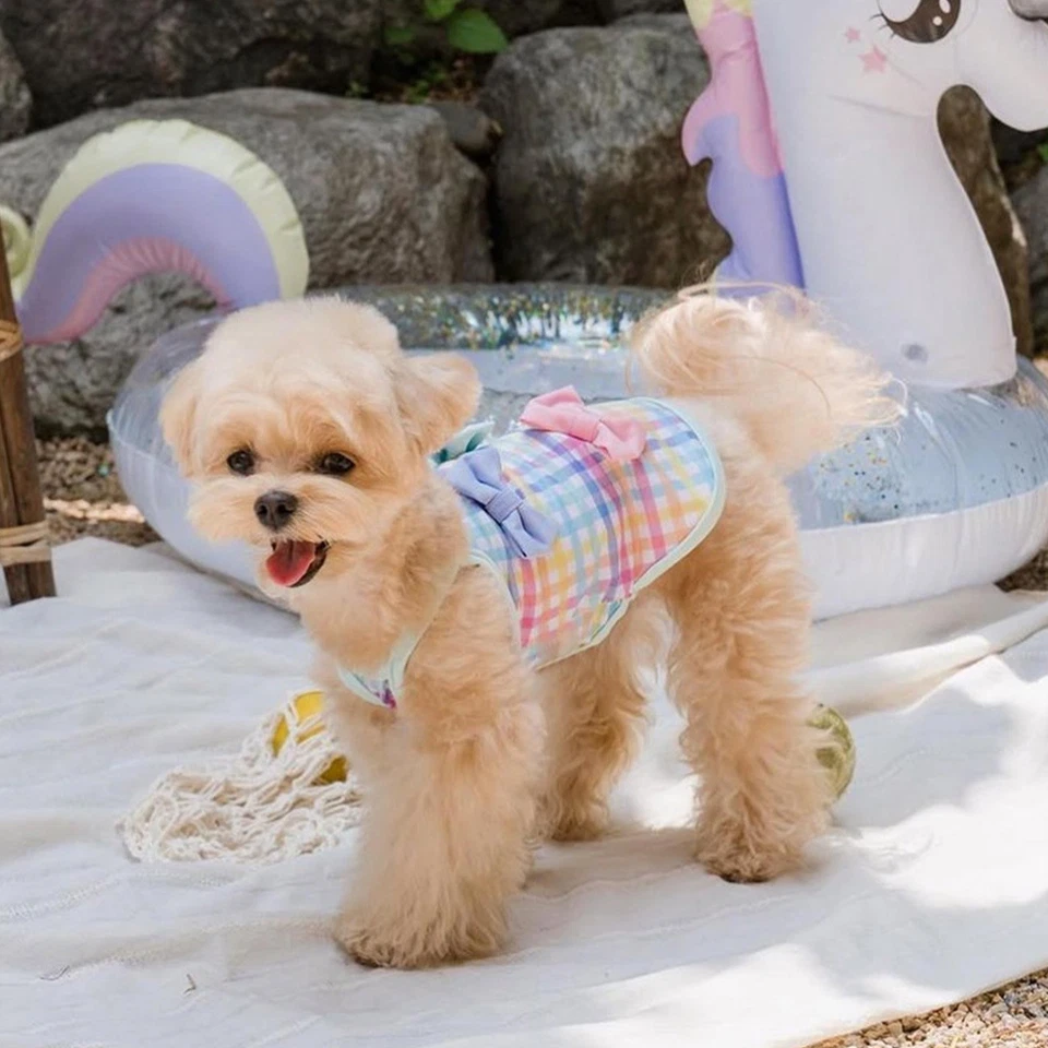 狗宠物衣服户外穿衬衫五颜六色的泳装蝴蝶结装饰浴衣 — 第 3/4 张图片