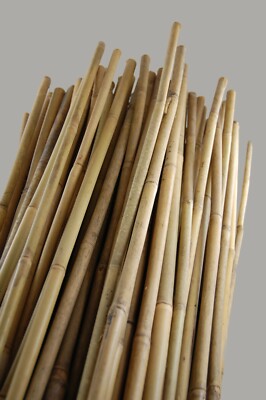 6' x 5/8'' Natural Bamboo Stakes - Garden Plant Support HD - Bulk Bundle of 100