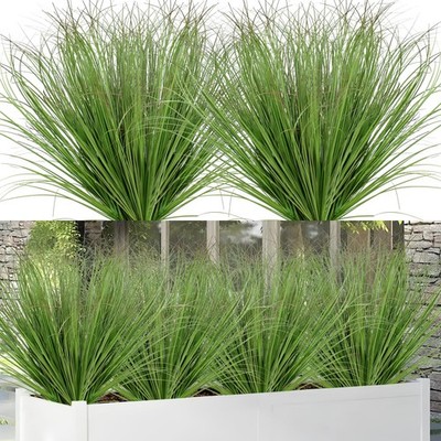 cylindrical snake plant Snake Plant 'Braided' - Pet Safe Air-Purifying Braided Plant main image 1