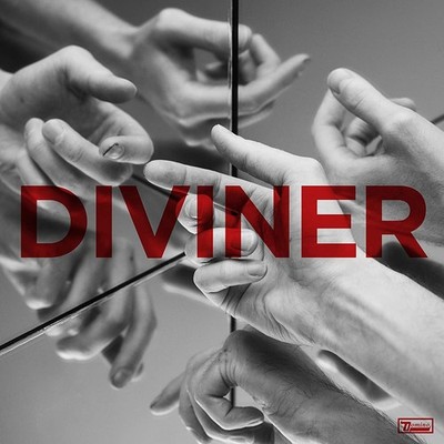Wild Beasts Diviner (Vinyl) Limited  12'' Album (US IMPORT)