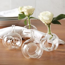Sitting Pretty Set of 4 Glass Bud Vase Napkin Rings in  Box – Hand-Blown Clear