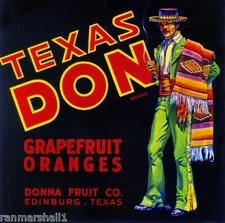 Edinburg Texas Don Orange Grapefruit Citrus Fruit Vintage Crate Label Art Print