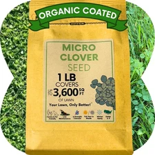 Micro Clover Seed, Organic Coated, Eco-Friendly, Low Growing, Low Maintenance