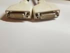 Foto 10 di 11