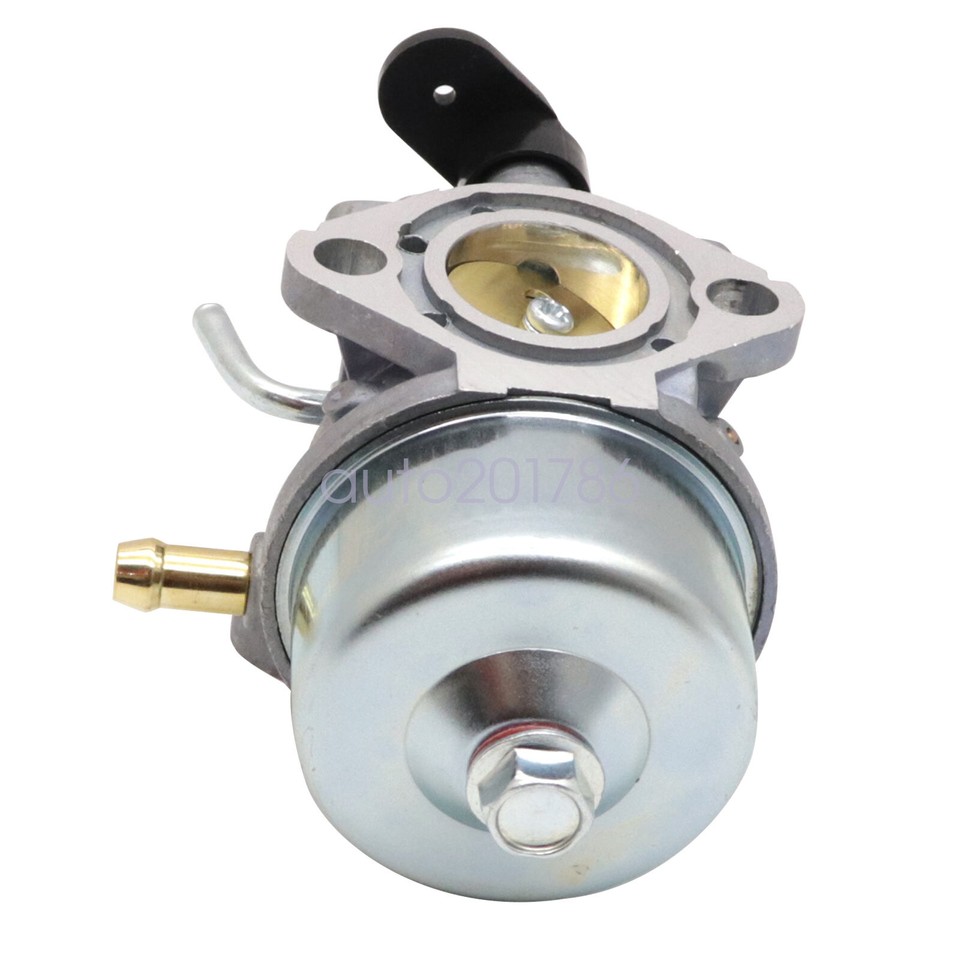 Carburatore Pro Chaser Per Lancia Neve Toro 38582 Power Clear 221E (21) 141cc, Benzina