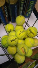 25 Used Tennis Balls for Dogs - FREE SHIPPING 
