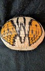 Wounaan Embera Small Hand Woven Basket — photo 2