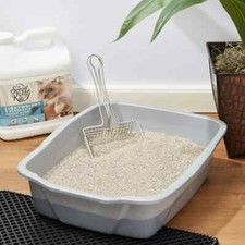 Special Kitty Lightweight  Scoopable Clumping Cat Litter, Fresh Scent, 8.5 lb