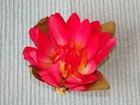 Foto 2 di 5