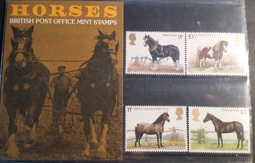 1964 - 1999 Commemorative & Definitive Regional to 2000 Presentation Packs GB - Picture 47 of 165
