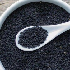 Indian Premium Organic Untreated Kalonji Black Cumin Nigella Seeds FREE SHIP