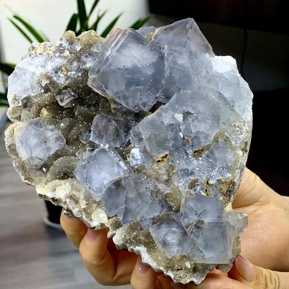 1,95 Pfund seltene transparente blau lila kubische Fluorit Mineral Kristall Probe