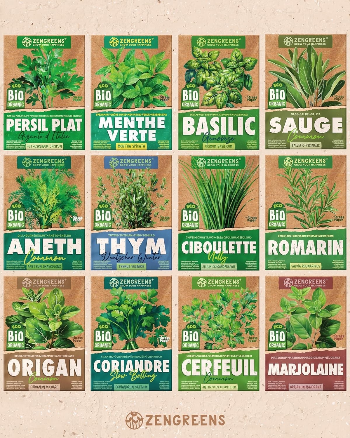 Kit graines herbes aromatiques intérieur 12 épices et aromates prêts à pousser chez soi