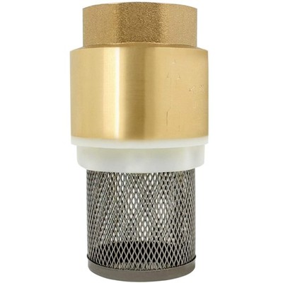 Rückschlagventil Pumpe Schlauch Filter Flansch Npt