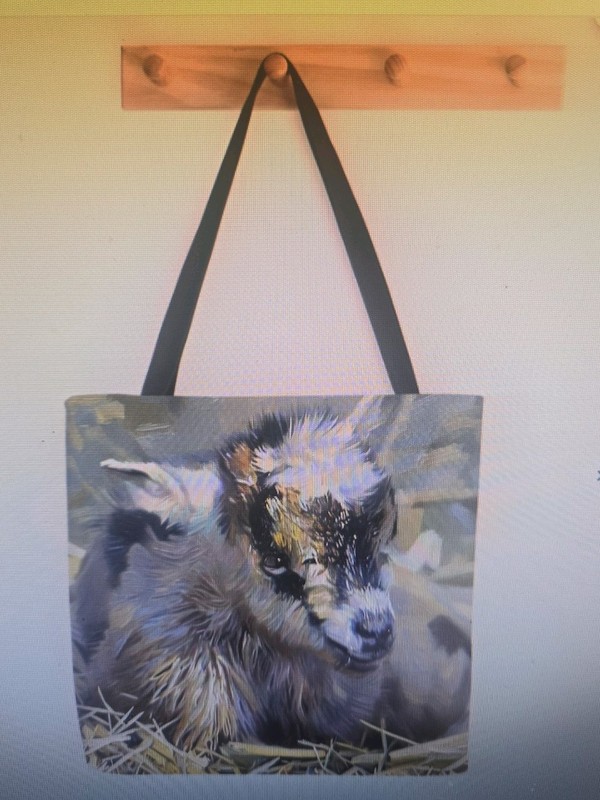 Nigerian Dwarf Goat Bag