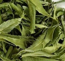 Neem Leaf 4 oz  100 Natural Crushed Leaves  2026 New Harvest