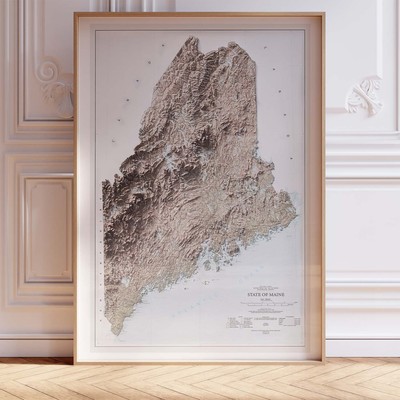 Maine Topographic Map Poster Wall Art A0 Large Print Decor Vintage