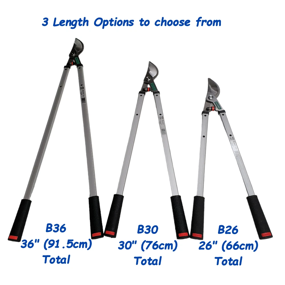 Best loppers 2024 for large branches