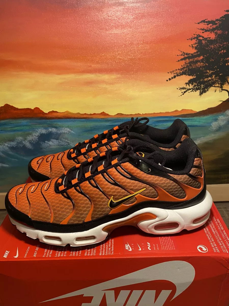 Medfølelse Skal udpege Nike Air Max Plus Safety Orange Black {DM0032-800} Men's Size 10 | eBay