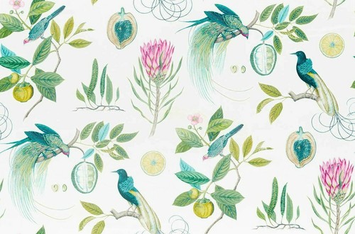SANDERSON CURTAIN FABRIC DESIGN Paradesia 3.2 METRES BOTANICAL GREEN 100% COTTON - Picture 4 of 6