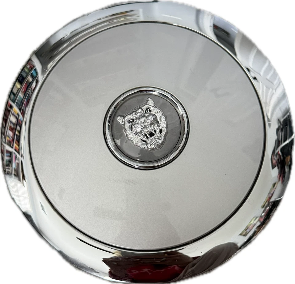 Cubierta del tapacubos central de llanta de rueda OEM Jaguar XJ8 1998-2003 6240 BA PLATEADA de fábrica Foto 2 de 4