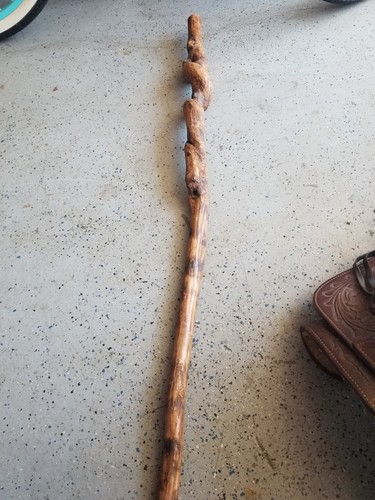 Genuine Ol' bull penis waliking cane HUGE old & Rough-free Shipping 45"!!