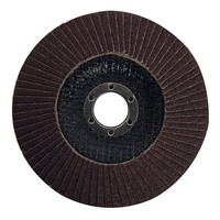 Korund FäCherscheibe 125 Mm K80 Schleifscheibe Lamellenscheibe Trennscheibe Neu
