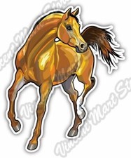 Stallion Mustang Horse Bronco Animal Gift Car Bumper Vinyl Sticker Decal 4"X5"