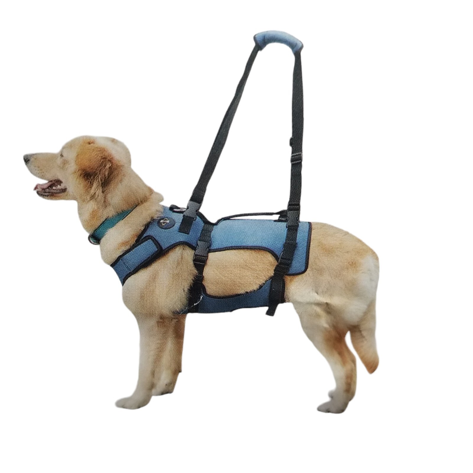 Coodeo Dog Lift Harness Full Body Support and Recovery Sling Size XL