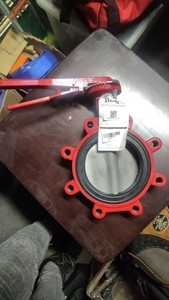 Bray 6 in Lug Butterfly Valve Manual Ductile Iron Stainless Steel 