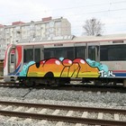 Picture 6 of 7