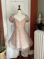 Cider Pink Fairy Coquette Cottagecore Dainty Chiffon Skater Dress NWT Medium