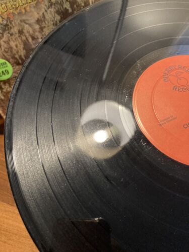 CHARLIE MUSSELWHITE Louisiana Fog Cherry Red LP ROBBEN FORD Daryl Dragon VG/VG+ - Picture 10 of 14