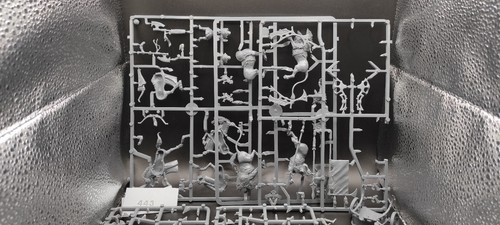 Warhammer Fantasy whfb AoS Tow The Old World High Elves Multi Auction MUST SEE! - Imagen 129 de 183