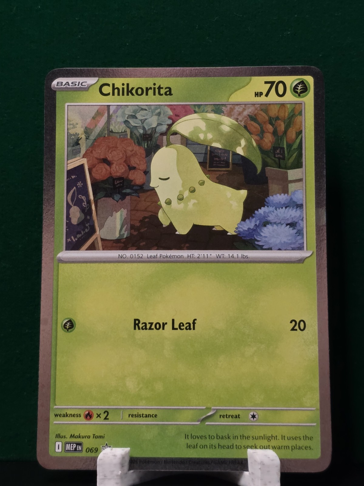 Pokemon - Chikorita SVP069 Cosmos Holo - Mega Evolution Black Star Promos - NM