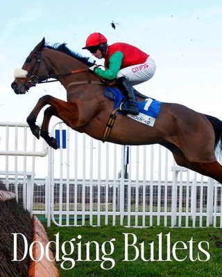 Horse racing photo, stallions,thoroughbreds ascot, breeders cup,farms, cup